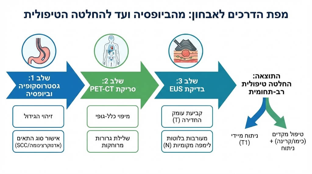 שלבי האבחון של סרטן הוושט: גסטרוסקופיה לאישור, PET-CT לשלילת גרורות ו-EUS לקביעת עומק הגידול, המובילים לבניית תוכנית טיפול אישית.